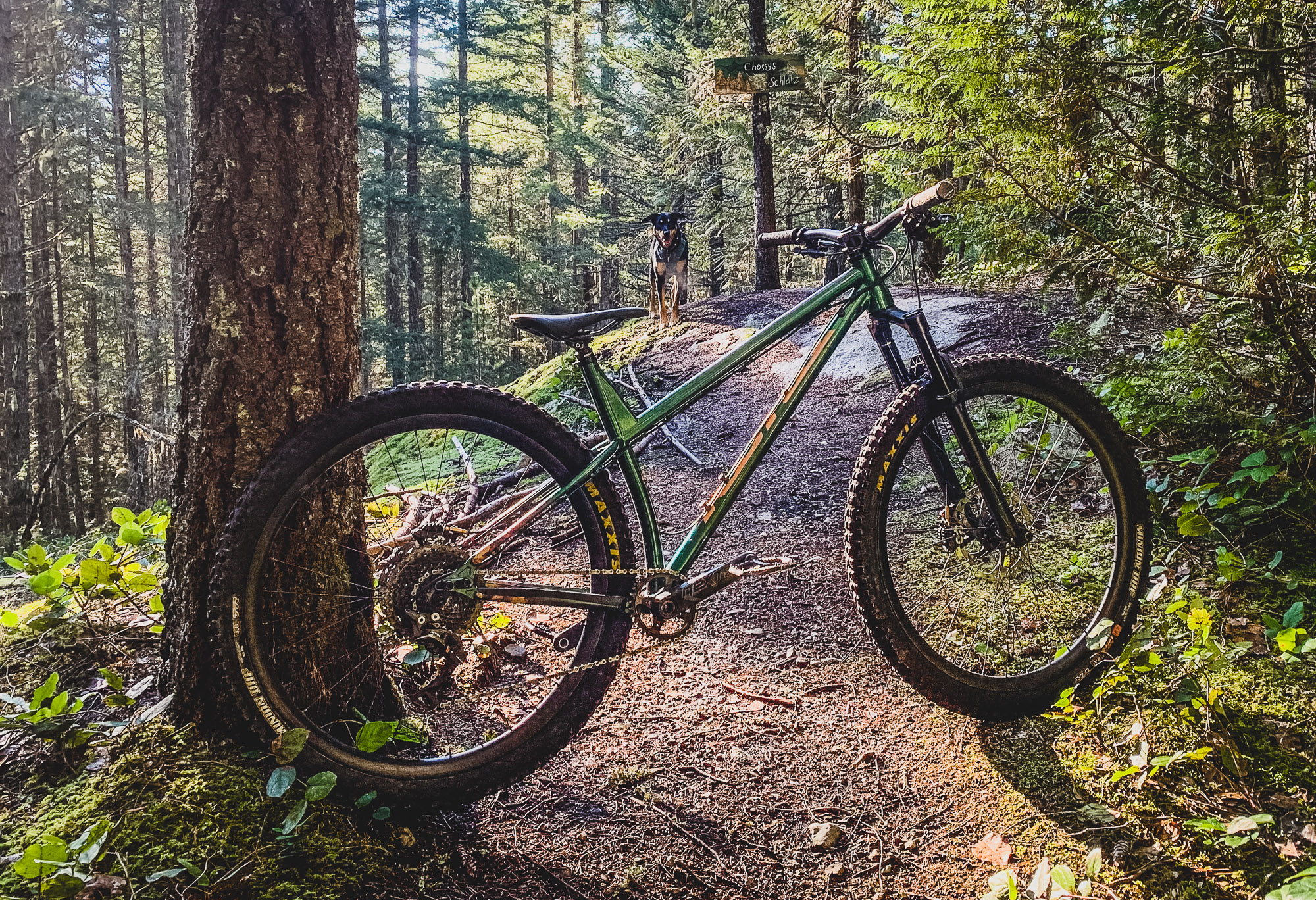 Kona Dream Builds: Matt’s Honzo ST Can See the Forest and the Trees