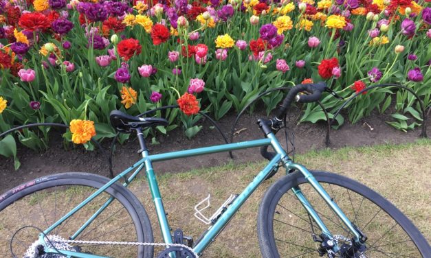 Bikes and Flowers